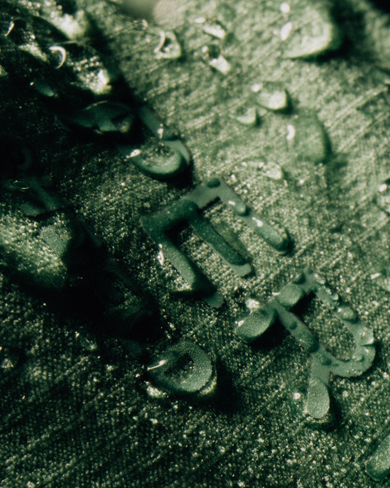 Signature Rain Jacket Basil