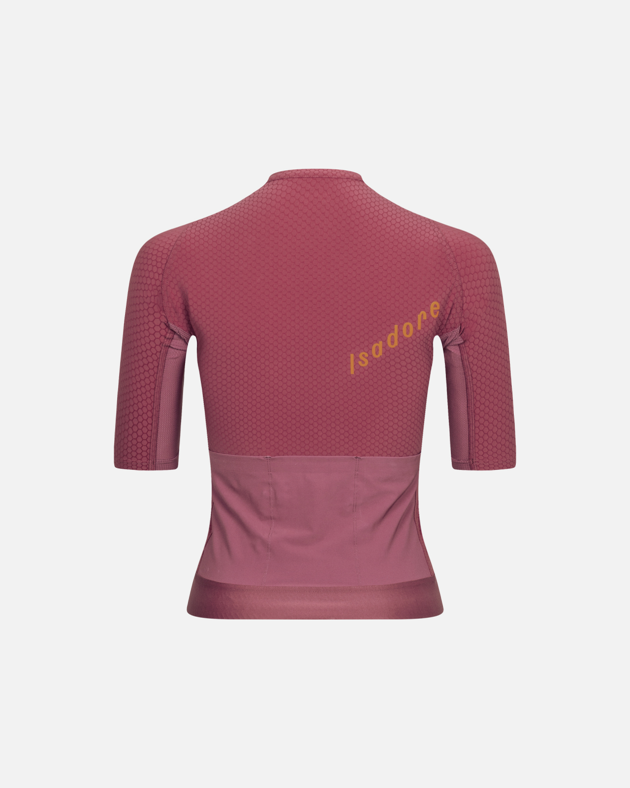 Women's Echelon Aero Jersey Earth Red