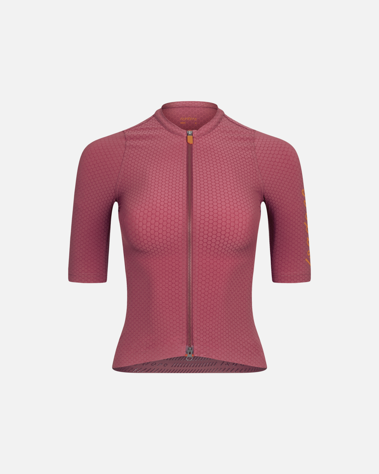 Women's Echelon Aero Jersey Earth Red