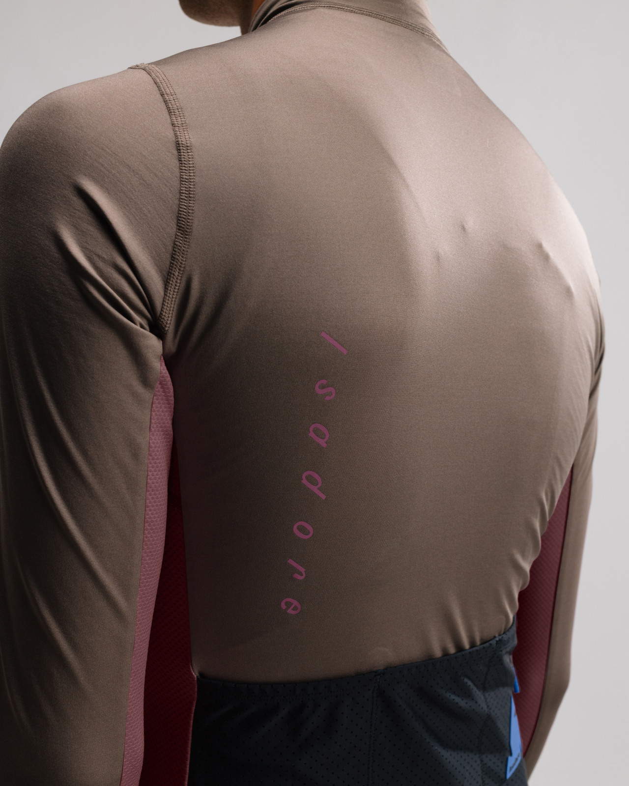 Alternative Light Long Sleeve Jersey Falcon