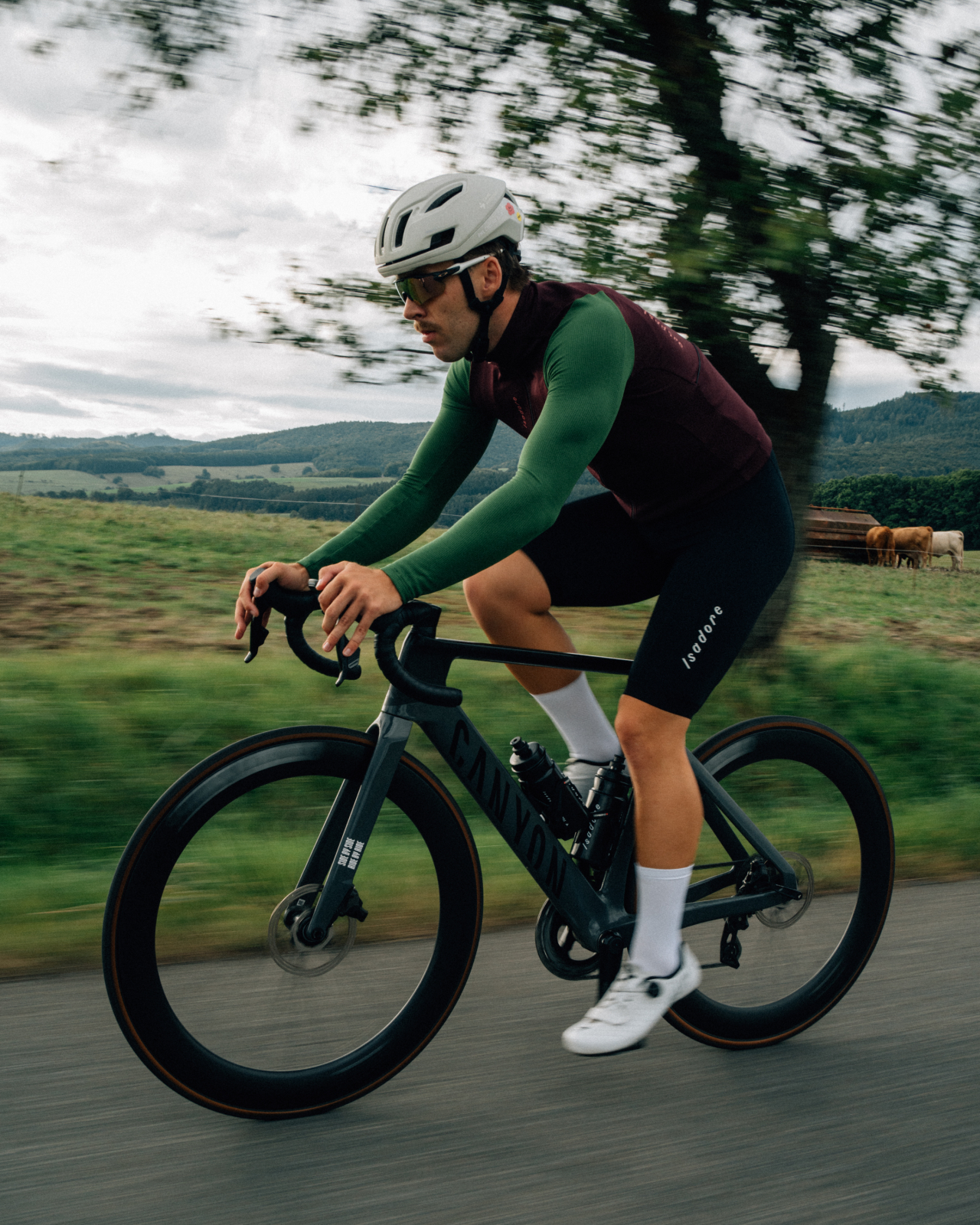 Debut Merino Long Sleeve Jersey Fig