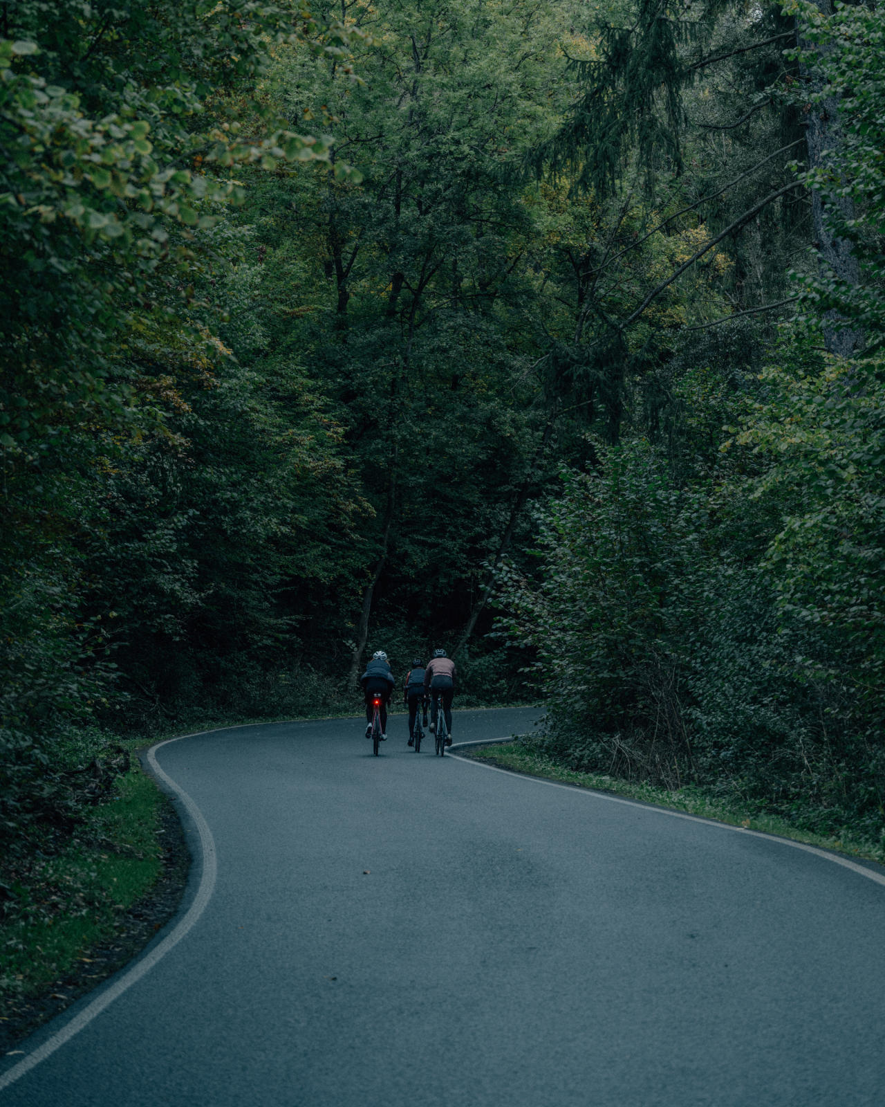 Alternative Insulated Jacket Acorn