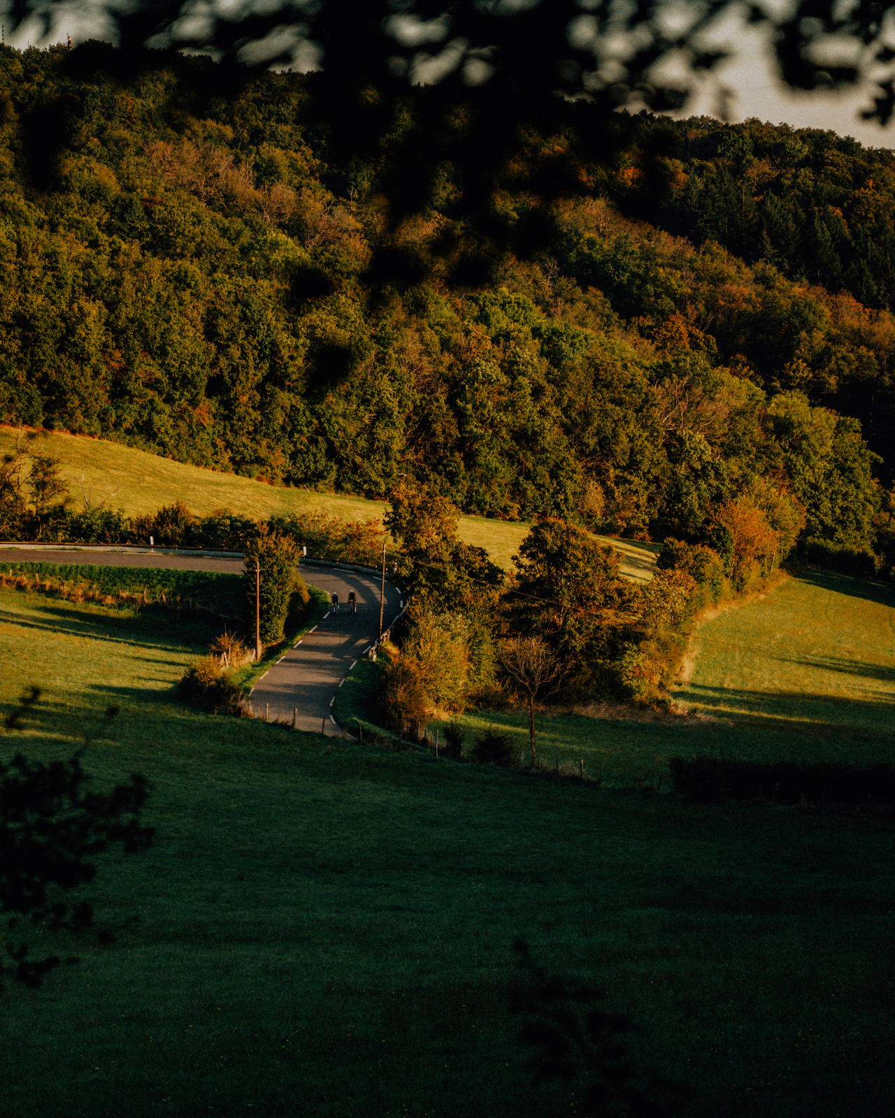 Alternative Light Long Sleeve Jersey Falcon