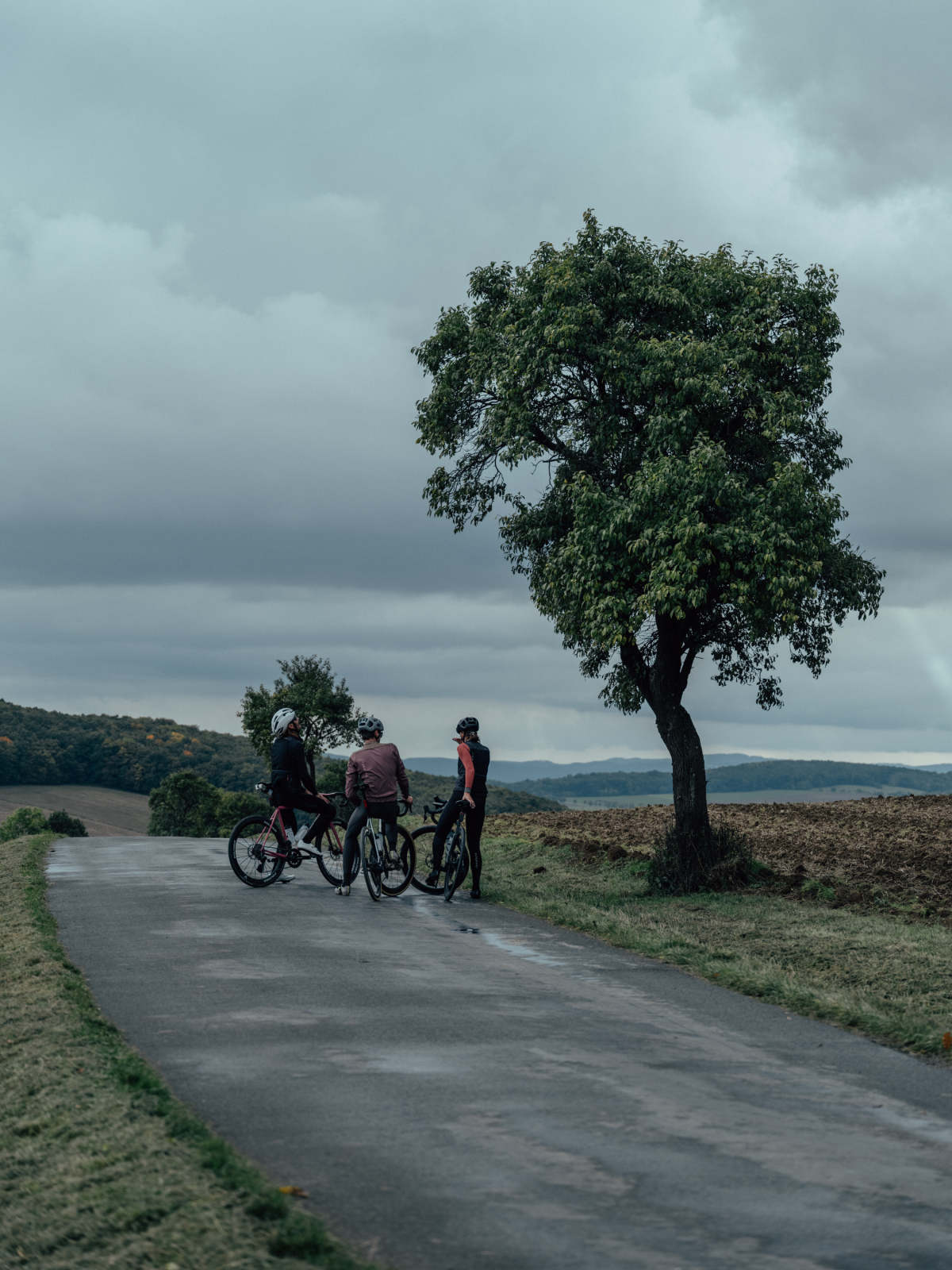 Alternative Winter Long Sleeve Jersey Stretch Limo