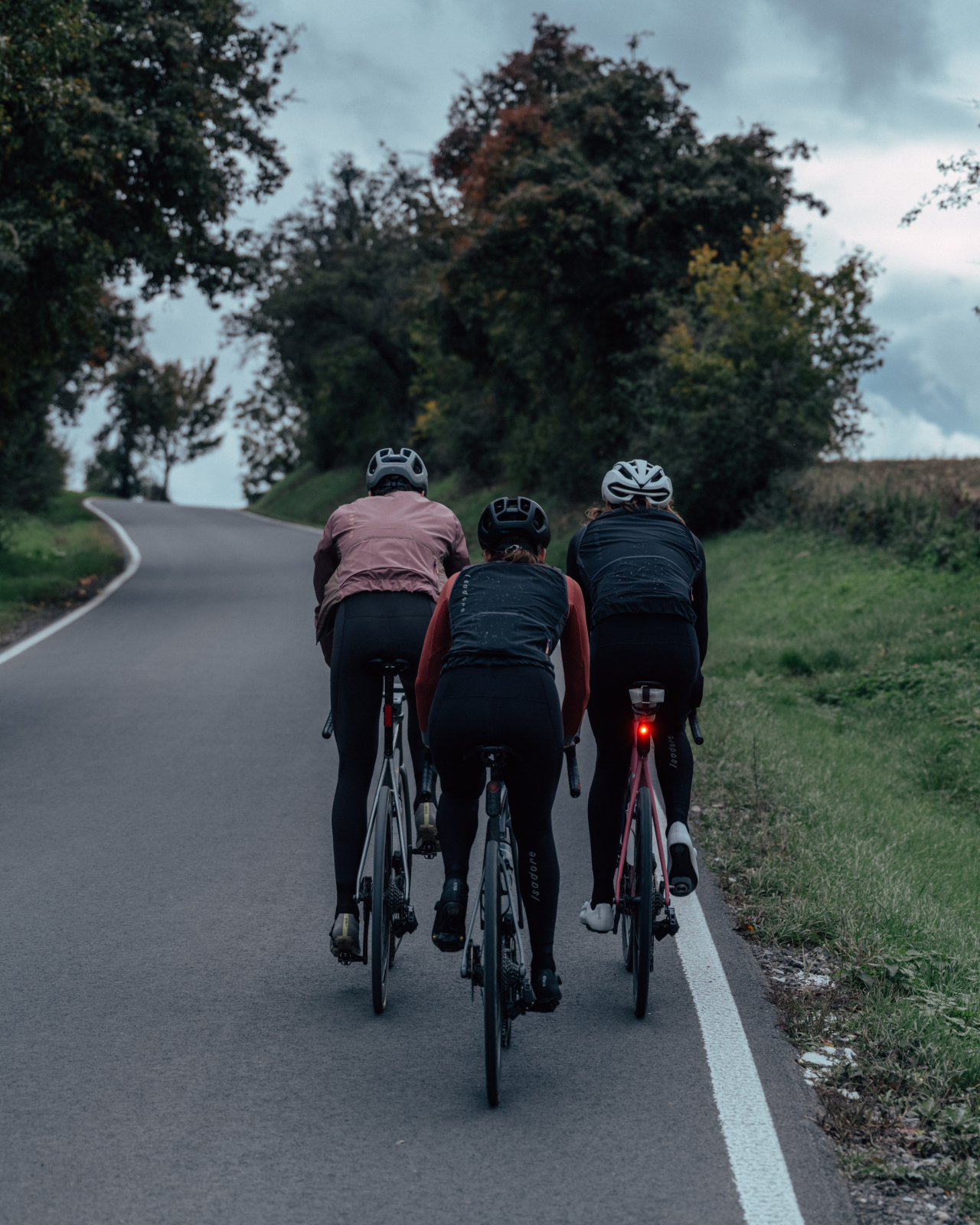 Women's Alternative Winter Long Sleeve Jersey Cardinal