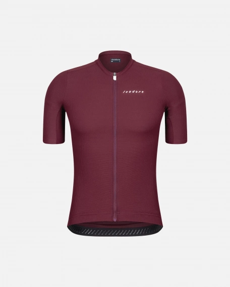Debut Merino Air Jersey Fig
