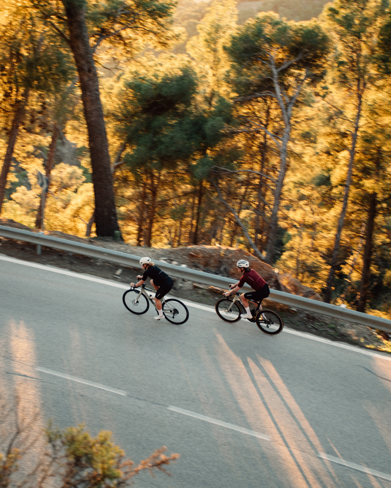 Debut Merino Jersey Cabernet