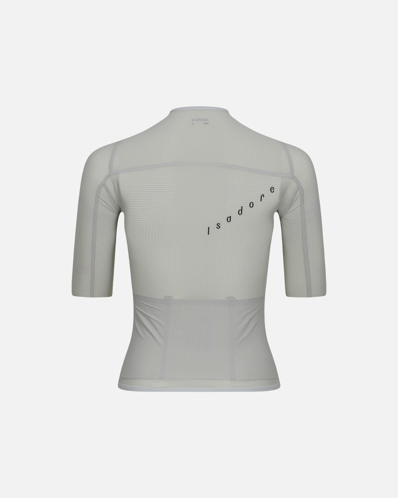 Women's Echelon Ultralight Aero Jersey Salix Gray